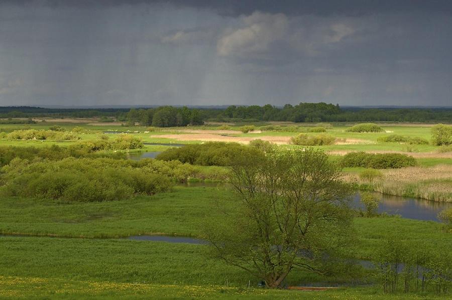 Agroturystyka Carski Trakt Wizna Exterior photo