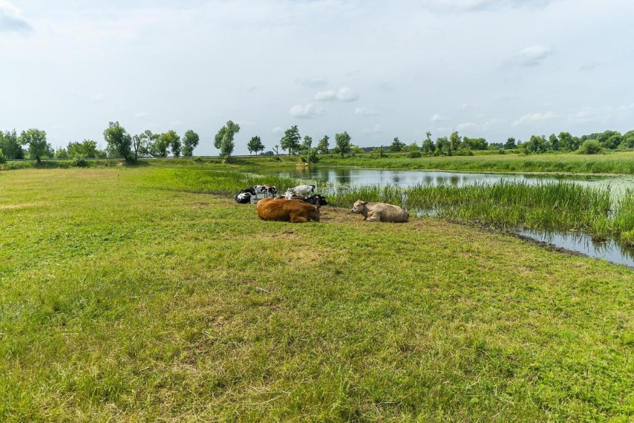 Agroturystyka Carski Trakt Wizna Exterior photo